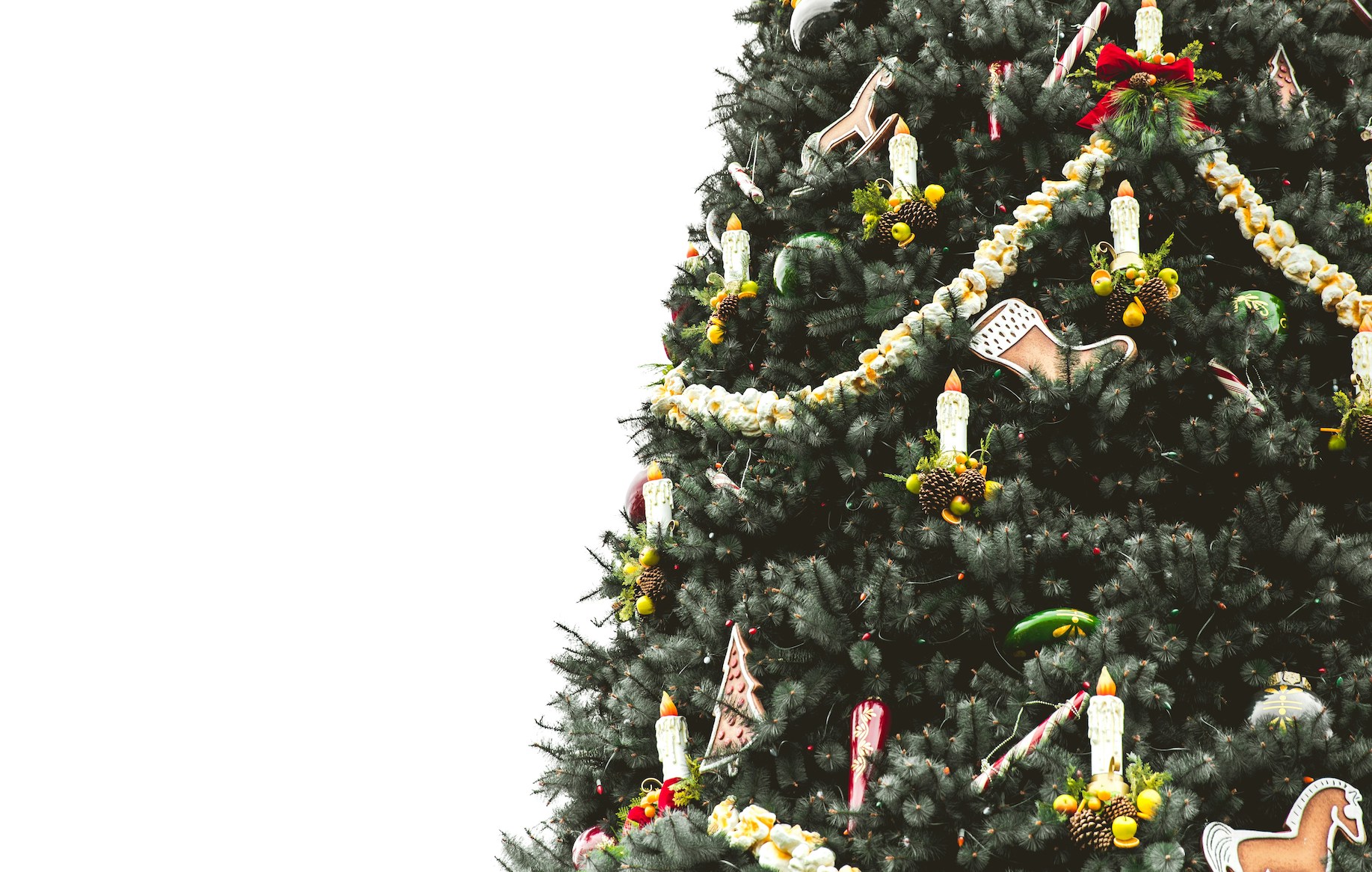 Merry Christmas!